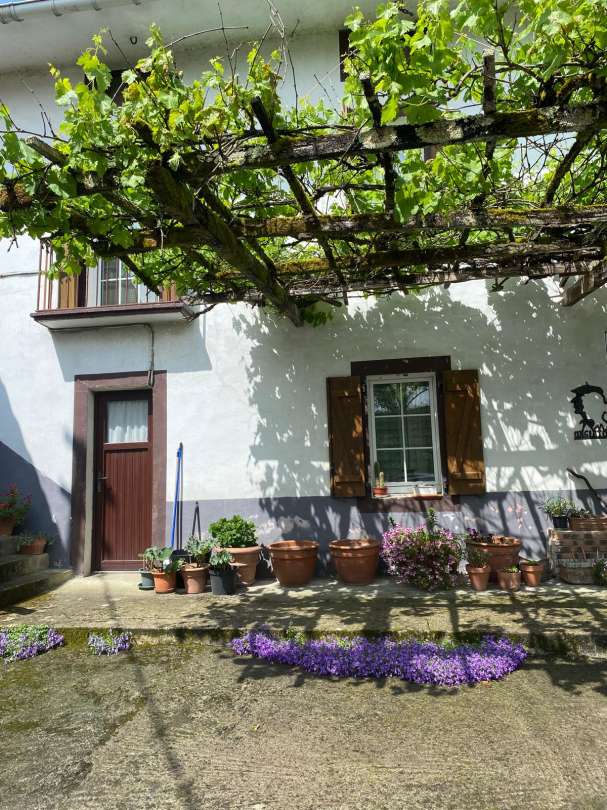 casa en venta en mungia